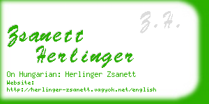 zsanett herlinger business card